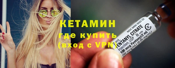 прущие грибы Аркадак
