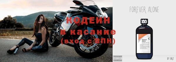 прущие грибы Аркадак