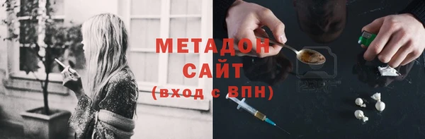 прущие грибы Аркадак