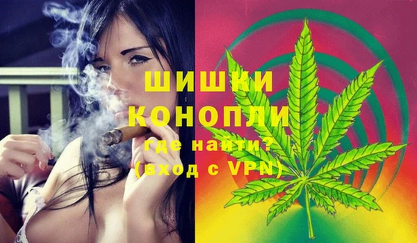 прущие грибы Аркадак