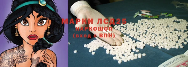 прущие грибы Аркадак