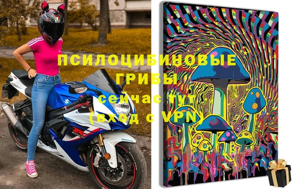 прущие грибы Аркадак