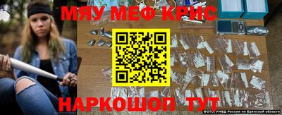 крисы Братск