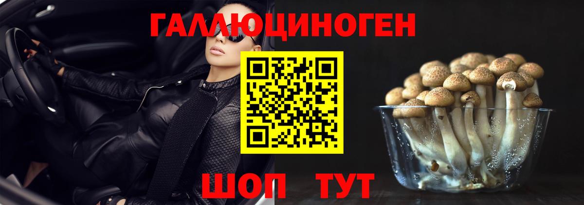 Белая Калитва  Псилоцибиновые грибы GOLDEN TEACHER  Вход с VPN 